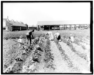 War Garden Commission LOC hec.14061