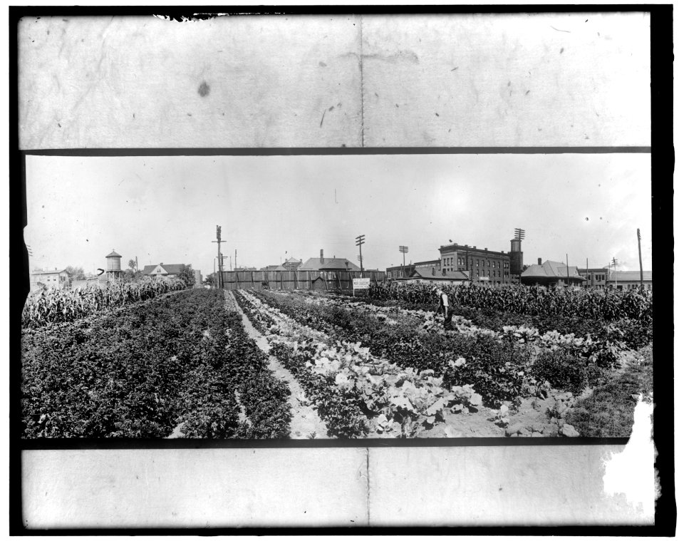 War Garden LOC hec.14074