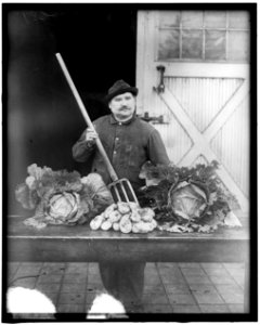 War Garden Commission LOC hec.14056