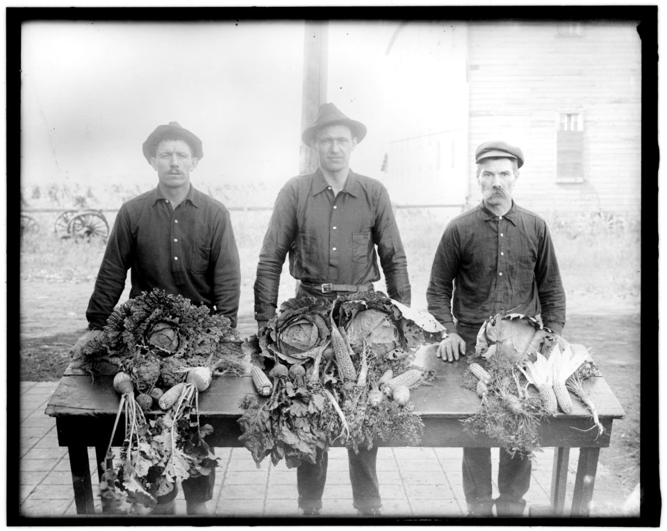 War Garden Commission LOC hec.14068