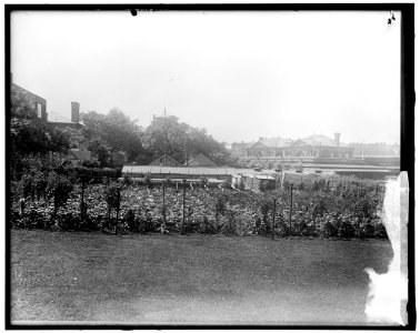 War Garden LOC hec.14054