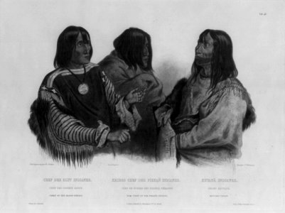 War chiefs of blackfeet indians photo