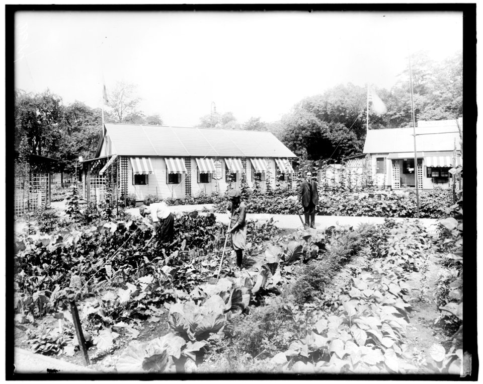 War Garden Commission LOC hec.14059