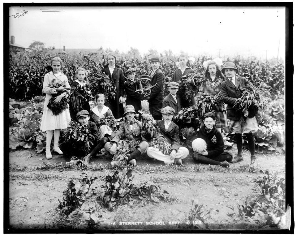War Garden LOC hec.14028