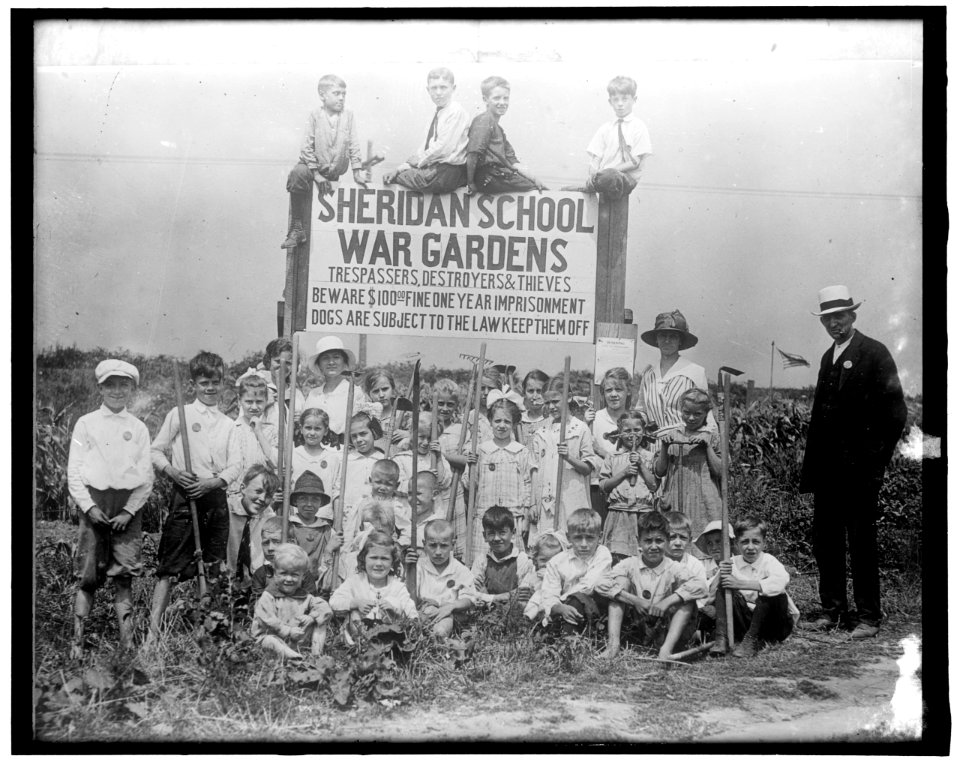 War Garden- Sheridan School LOC hec.14072