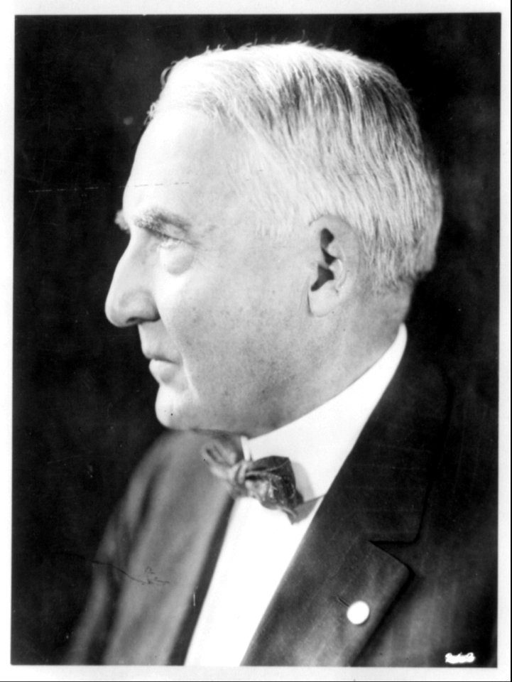 Warren G. Harding, head-and-shoulders profile portrait LCCN2006691556