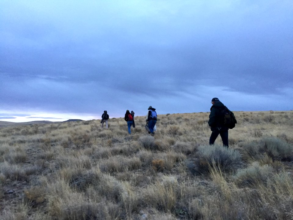 Warm Springs wild horse gather (45079845891)