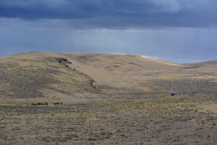 Warm Springs wild horse gather (31337209698)