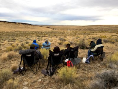 Warm Springs wild horse gather (45079846331)