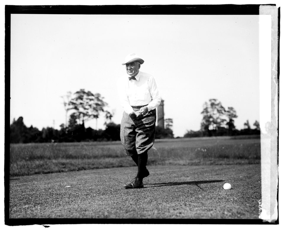 Warren G. Harding LCCN2016828145