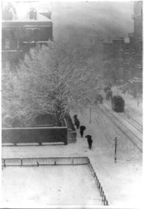 Snapshot-from my window, New York LCCN2003674953