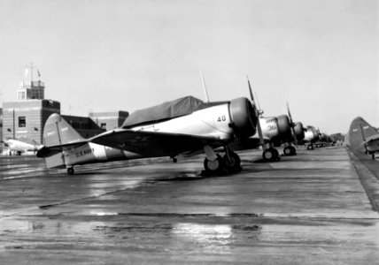 SNJ and NJ trainers at NAS Pensacola 1942