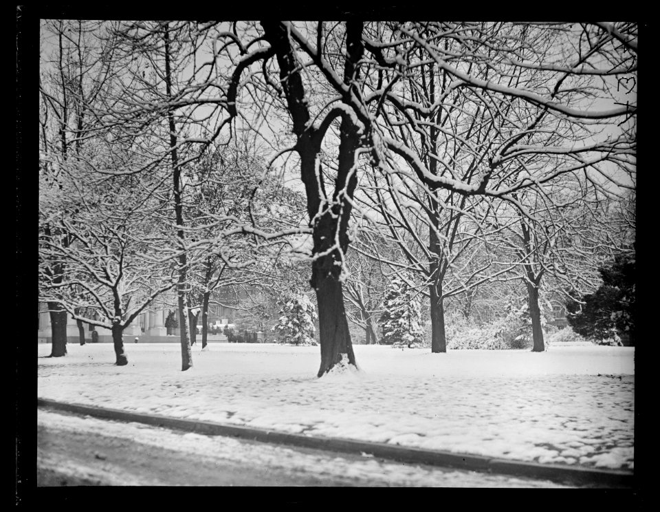 Snow, Washington, D.C. LCCN2016890988