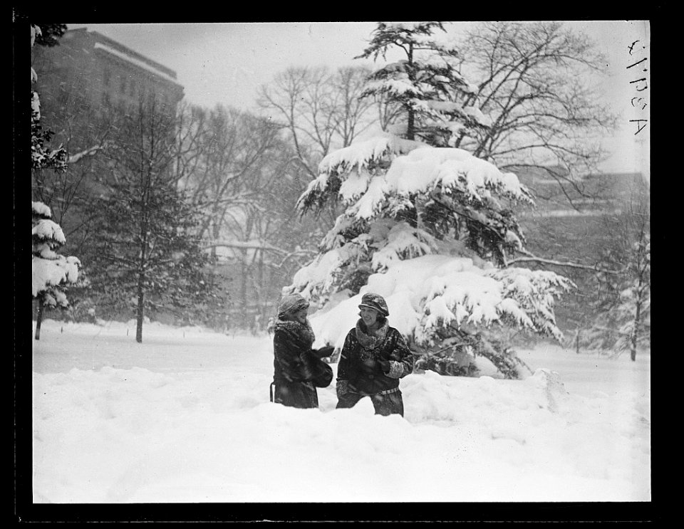 Snow, Washington, D.C. LCCN2016891170
