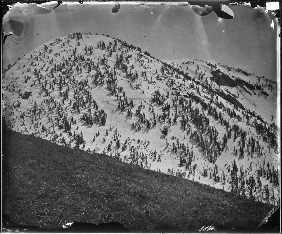 SNOW PEAKS, BULL RUN MINING DISTRICT, NEVADA - NARA - 524110