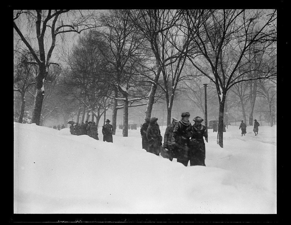 Snow, Washington, D.C. LCCN2016891167