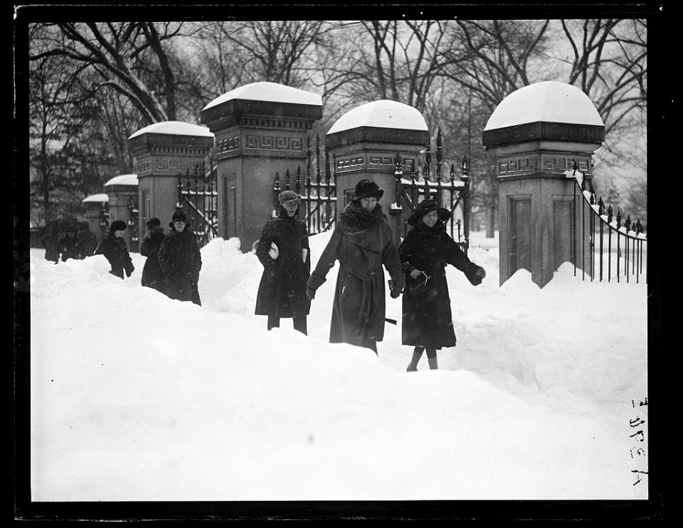 Snow, Washington, D.C. LCCN2016891163