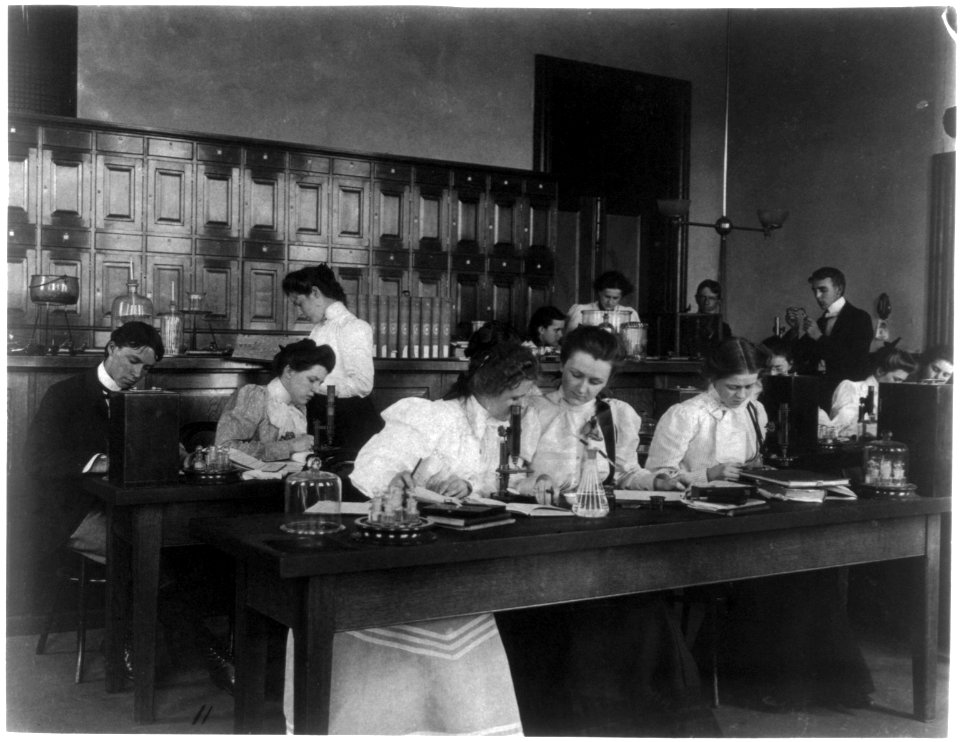 Students in a science class using microscopes, Western High School, Washington, D.C. LCCN2001699128