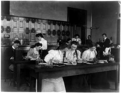Students in a science class using microscopes, Western High School, Washington, D.C. LCCN2001699128