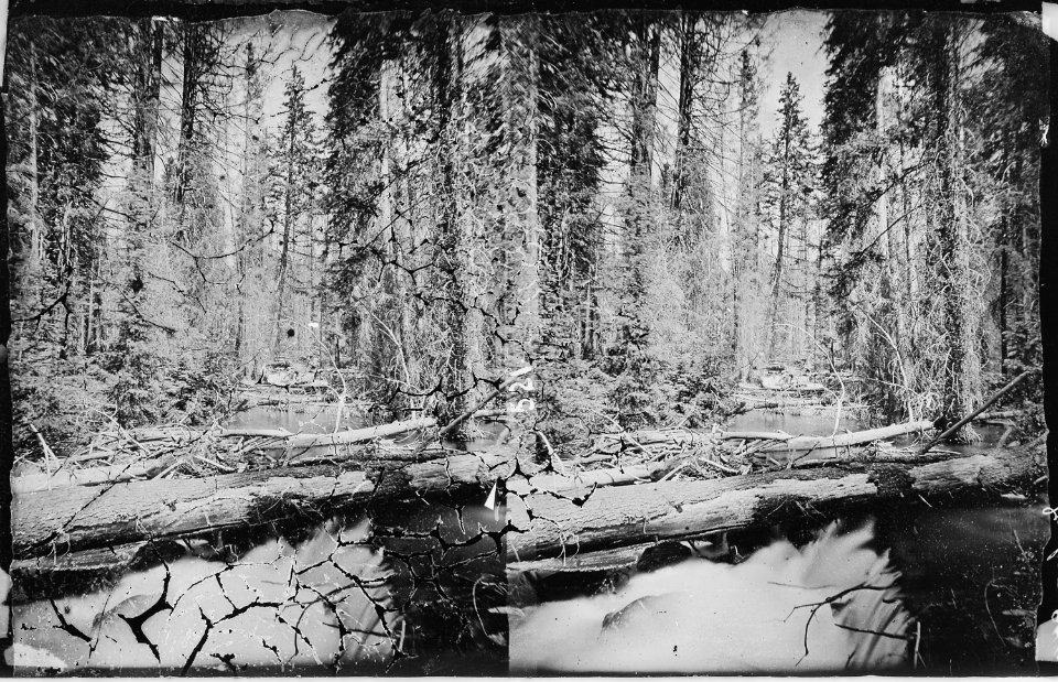 Studies on the left fork of Teton River. Lincoln County, Wyoming. - NARA - 517459