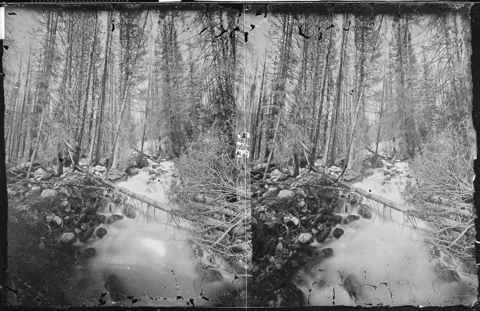 Studies on the left fork of Teton River. Lincoln County, Wyoming. - NARA - 517458