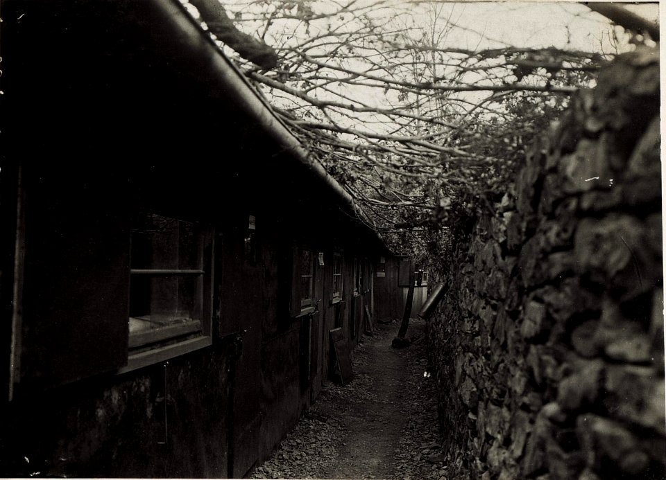 Sturmdolinen Baracke. (BildID 15572355)