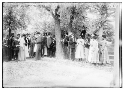 Studying botany, Tuskegee LCCN2014700312