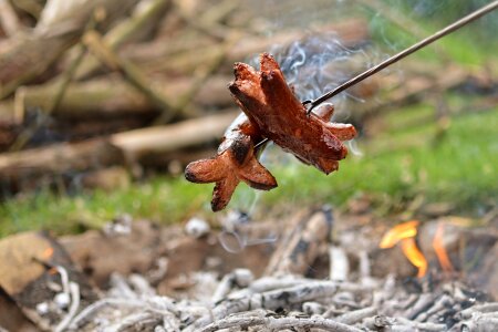 Sausages on the fire toasting grilling