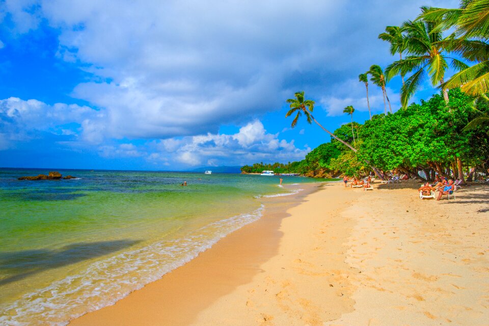 Tropics palm trees beach