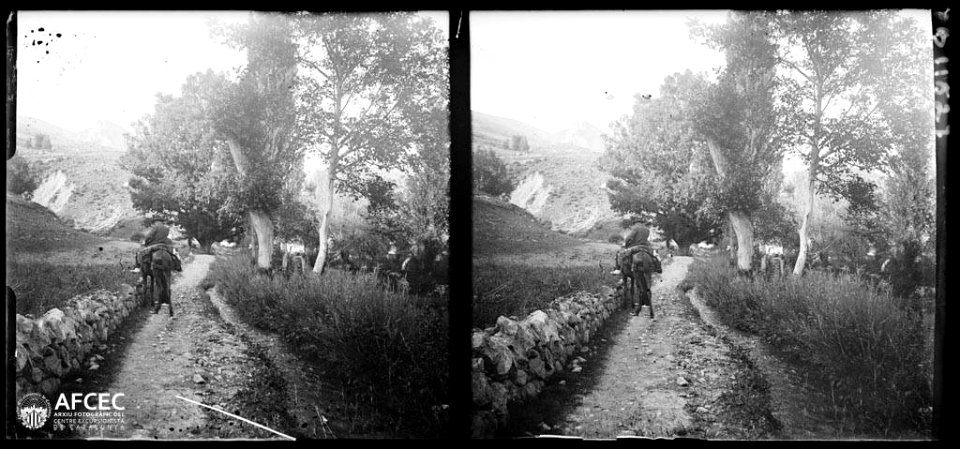 Un home a cavall en un camí al costat d'un gran roure prop de Montargull