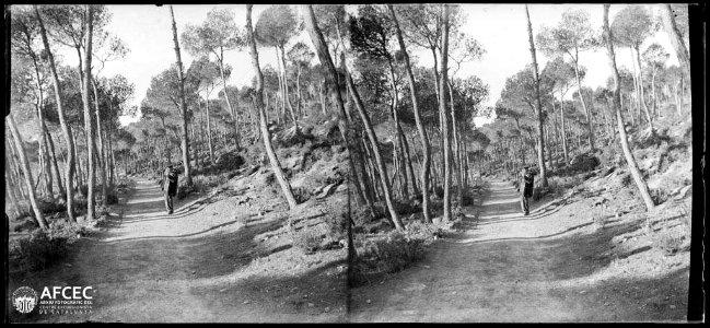 Un home en un camí enmig d'un bosc prop del Mujal
