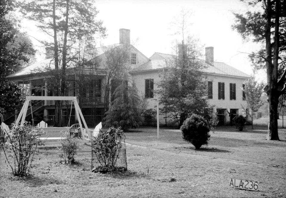 Umbria Plantation 03