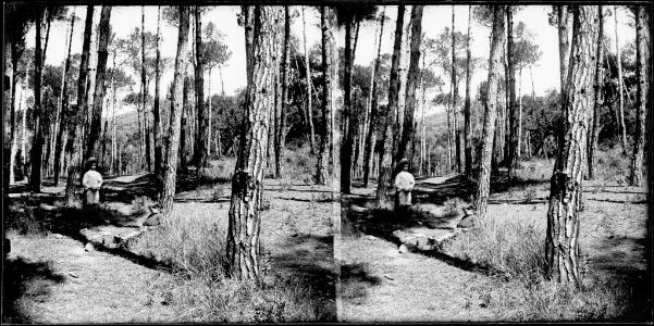 Un nen al camí de la font de la Llet