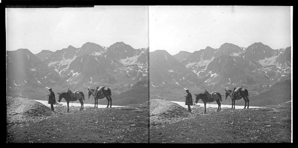 Un home i dues mules al port d'Envalira