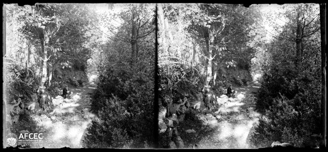 Un home assegut al costat de la font del Faig davant d'un camí i voltat de bosc