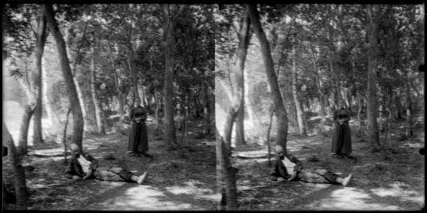 Un home i una dona enmig d'un bosc