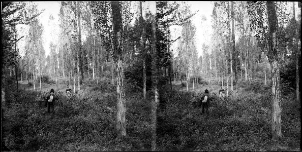 Un noi amb un cistell i una dona en un bosc