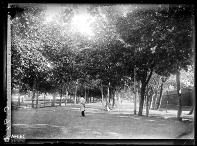 Un home en un passeig amb arbres a Reus (AFCEC SOLER C 0094)