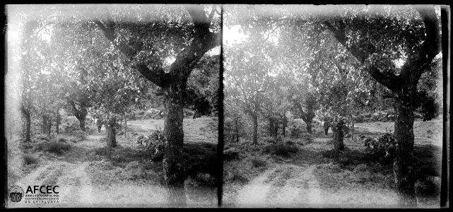 Un home en un camí amb arbres a les vores prop de Peracamps
