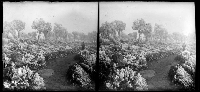 Un home en un camí voltat de vegetació i arbres gebrats