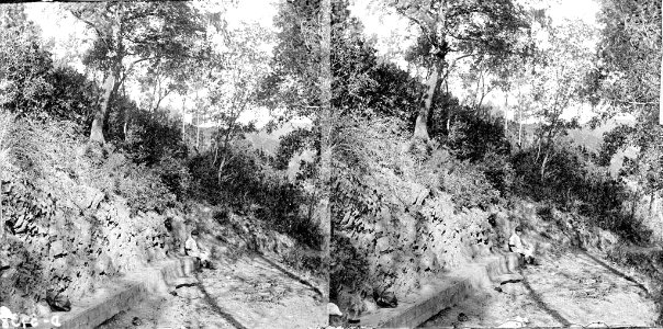 Un nen assegut en un pedrís al bosc de Can Magarola