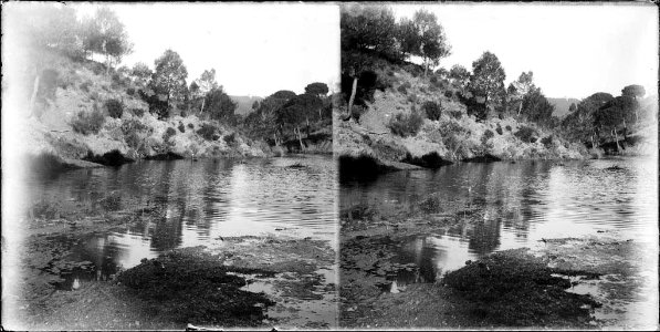 Un riu baixant entre muntanyes i arbres