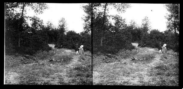 Un home i una dona en un camí enmig del bosc