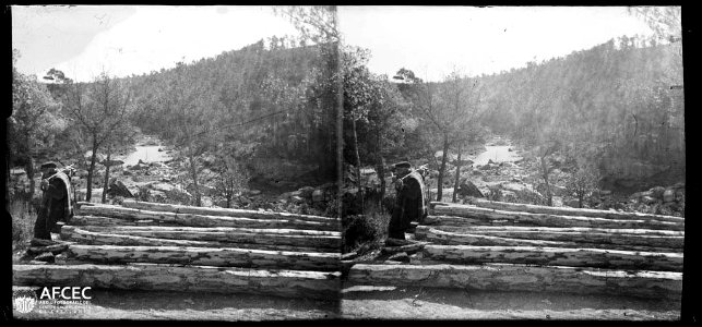 Un home recolzat en una pila de troncs tallats prop del pont de les Dues Aigües al terme de Sant Mateu de Bages