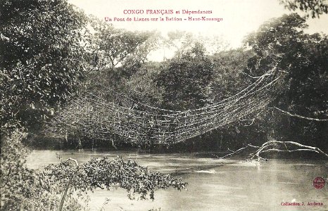 Un pont de lianes sur la Baïdou (Haut Kouango)