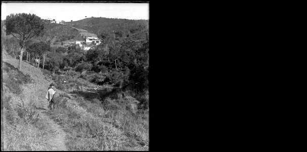 Un nen en un camí voltat de bosc i al fons una casa