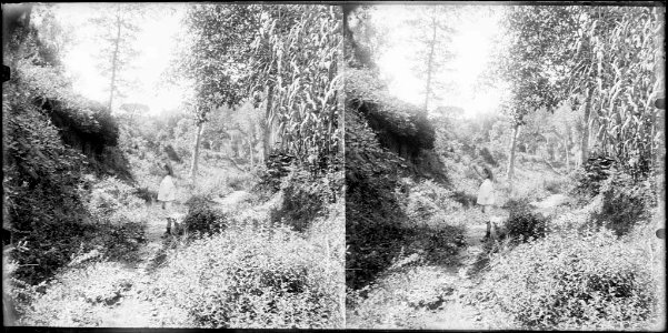 Un noi al camí entre la font de la Llet a Sant Cebrià d'Horta