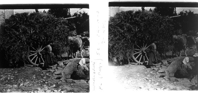 Una carreta de palla passant per Odelló photo