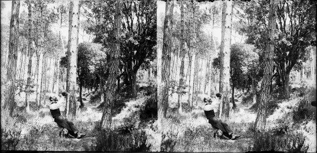Un home a la vora d'un camí enmig d'un bosc