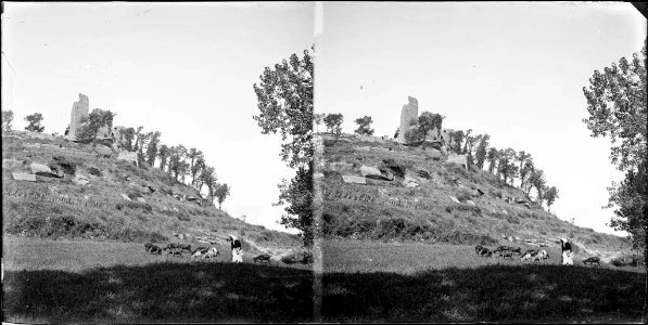 Una dona i un ramat de xais al peu de les ruïnes d'un castell